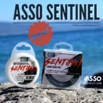 ASSO SENTINEL 50m